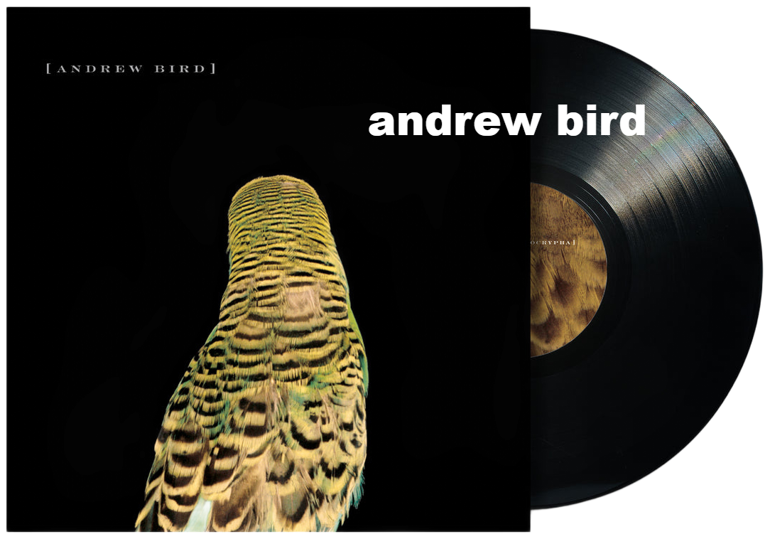 andrew bird